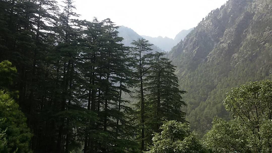 Hotel Deep Forest Kasol Exterior photo